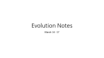 Evolution Notes (March 14th to March 17th)