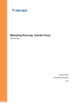 Marketing Planning: Feeniks Koulu