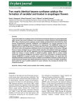 Two nearly identical terpene synthases catalyze the