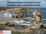 Marine Permian of western Europe: beautiful rocks, remarkable stories