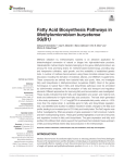 Fatty Acid Biosynthesis Pathways in Methylomicrobium buryatense