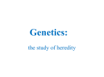I. Genetics*the study of heredity