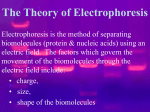 The Theory of Electrophoresis