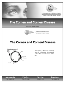 The Cornea And Corneal Disease