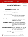 Bovine Salmonellosis Fact Sheet - OSU Environmental Health and