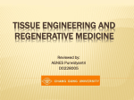 Tissue engineering and regenerative medicine