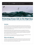 Protecting Ocean Life on the High Seas