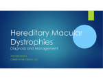 Hereditary Macular Dystrophies