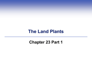 The Land Plants - Del Mar College