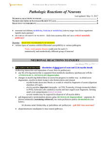 p. A5 - Viktor`s Notes for the Neurosurgery Resident
