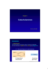 Catecholamines