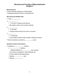 Chapter 5 Structure and Function of Macromolecules