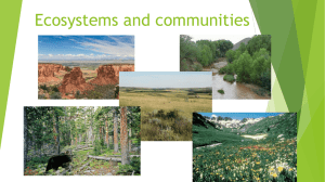 Ecosystems and communities