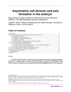Asymmetric cell division and axis formation in the embryo