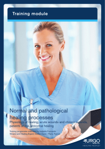 Normal and pathological healing processes