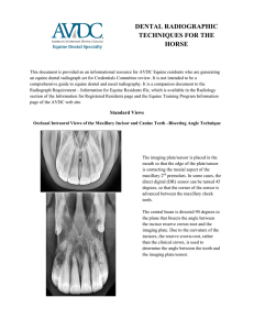 DENTAL RADIOGRAPHIC TECHNIQUES FOR THE HORSE