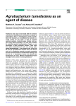 Crown Gall - Agrobacterium tumefaciens as an agent of disease