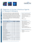 Detection of Human Infectious Agents in Research Biologics