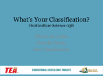 Lesson 03B What`s your Classification? PPT