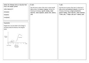 Immunity revision sheets