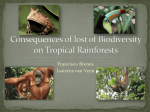 Consequences of lost of Biodiversity on Tropical Rainforests