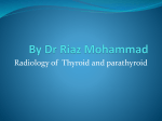 Thyroid and parathyroid