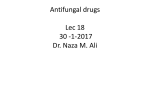 Antifungal drugs Lec 15-16 15-12