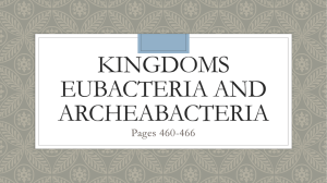 Kingdoms Eubacteria and Archeabacteria