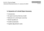 5. Dynamics of a Small Open Economy y p y