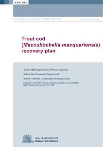 Trout cod (Maccullochella macquariensis)recovery plan