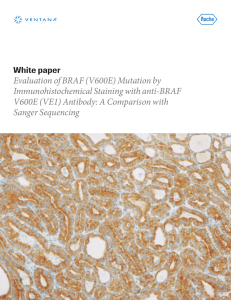 Evaluation of BRAF (V600E) Mutation by Immunohistochemical