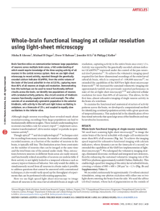 Whole-brain functional imaging at cellular resolution using light