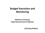 Budget Execution and Monitoring