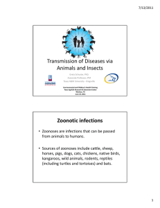 Transmission of Diseases via Animals and Insects Zoonotic infections