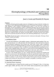 Electrophysiology of Brachial and Lumbosacral Plexopathies
