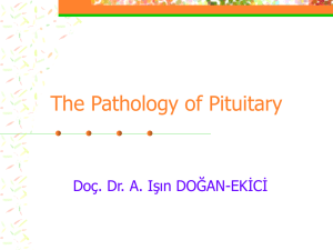 The Pathology of Pituitary