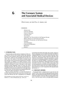6 The Coronary System and Associated Medical Devices