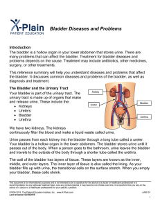 Bladder Diseases and Problems