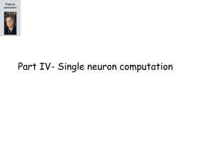 Part IV- Single neuron computation