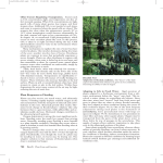 Plant Responses to Flooding