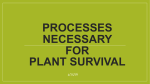 Processes Necessary for PLANT Survival