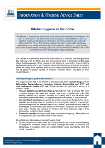 Kitchen_hygiene_in_the-home - International Scientific Forum