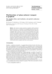 Manifestations of phase-coherent transport in