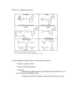 PHASE II--Conjugation Reactions A. Glucuronidation-