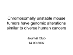 Chromosomally unstable mouse tumors have genomic alterations