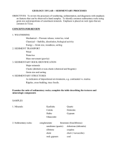 GEOLOGY 335 LAB -- SEDIMENTARY PROCESSES