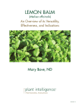 Lemon Balm - Gaia Herbs