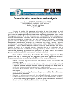 1-04-Equine Sedation Anesthesia and Analgesia