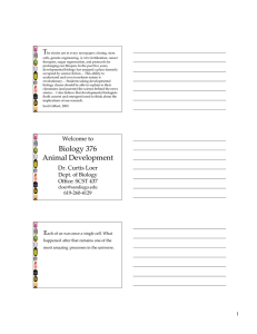 Biology 376 Animal Development