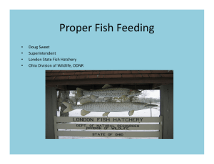 Proper Fish Feeding - Ohio Aquaculture Association